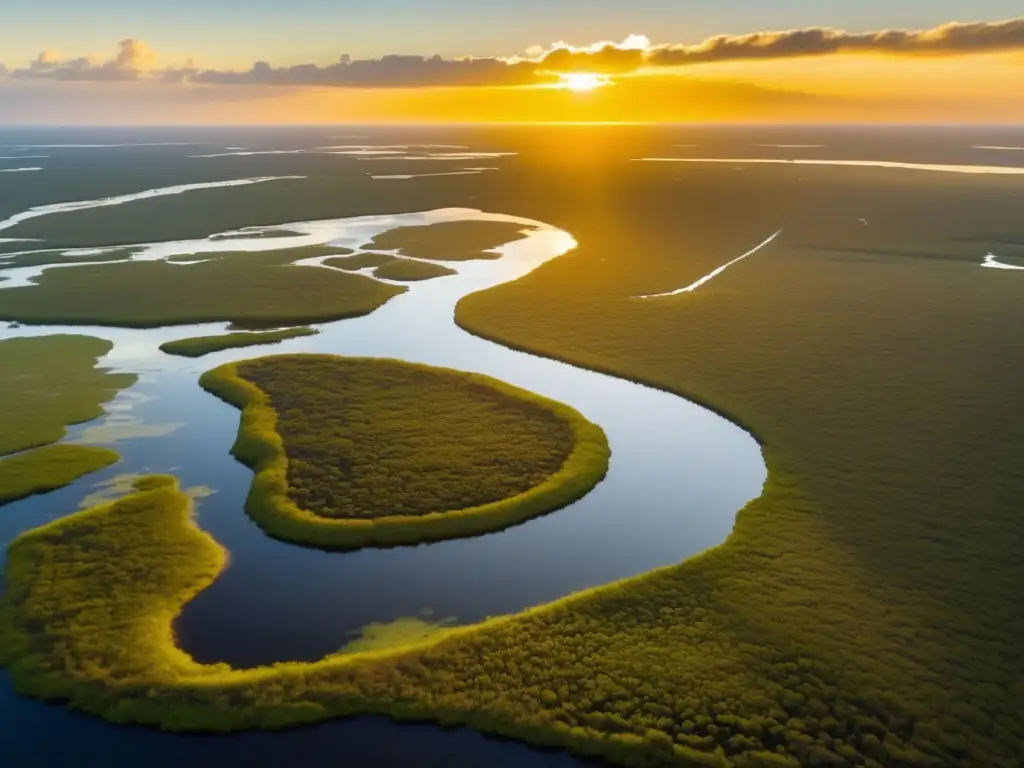 Senderismo en lugares sagrados indios Seminole en el Parque Nacional de los Everglades al atardecer