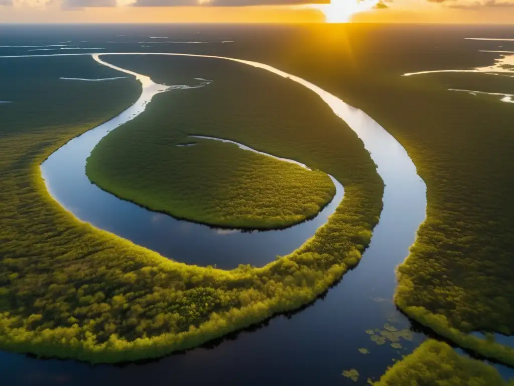 Senderismo en lugares sagrados indios Seminole en los Everglades de Florida