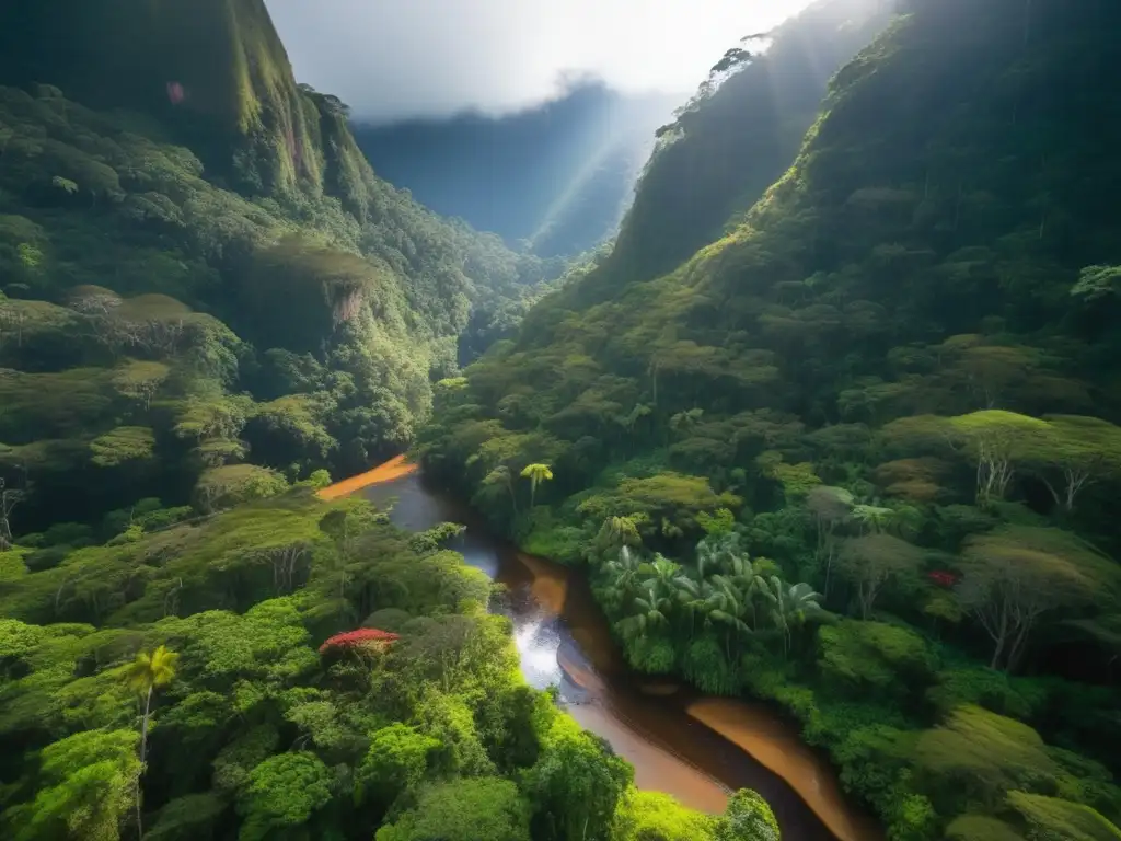 Descubriendo la belleza de Parque Nacional Madidi en Bolivia