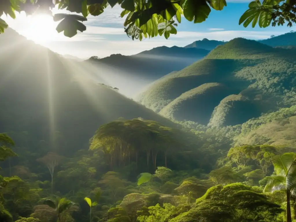 Descubriendo la belleza del Parque Nacional Madidi - Imagen cautivadora del misterioso parque en Bolivia, con exuberante vegetación, nativos y vida silvestre